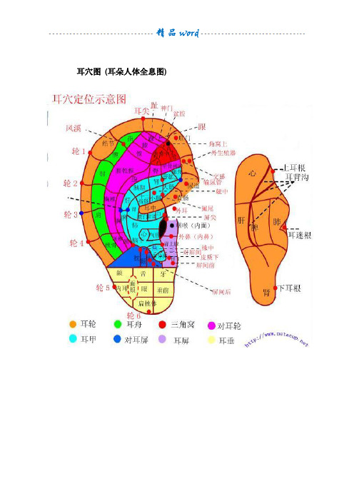 耳穴图