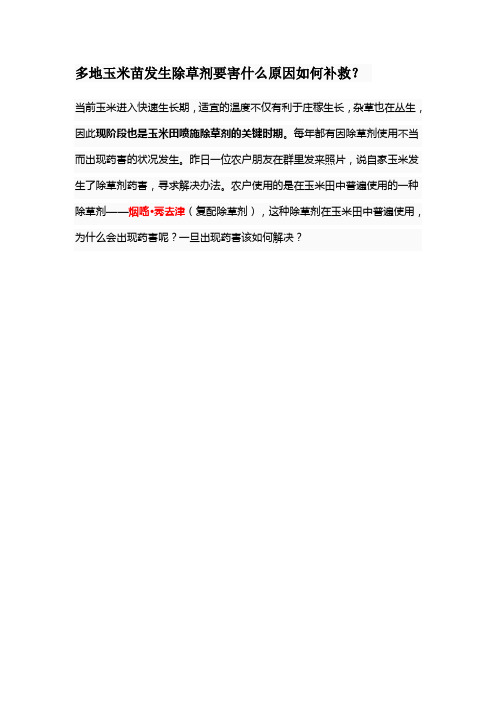 多地玉米苗发生除草剂要害什么原因如何补救
