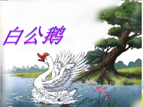 吉林省长春市第一小学四年级语文上册第四组14白公鹅课堂教学课件2新人教版