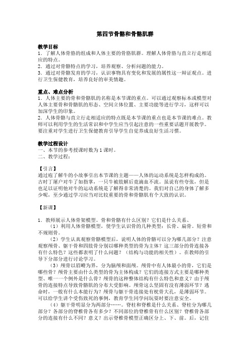 八年级生物骨骼和骨骼肌群