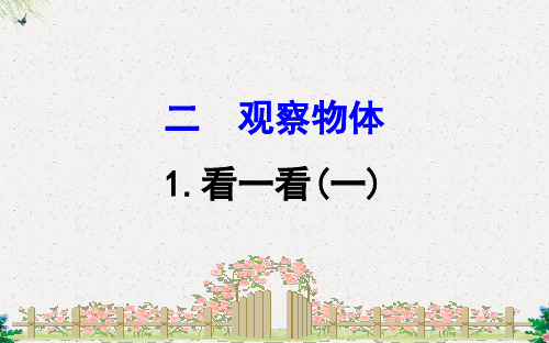 一年级下册数学习题课件-2.1看一看(一)｜北师大版() (共13张PPT)