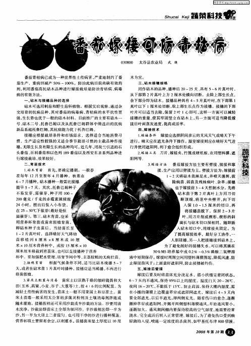 番茄嫁接可防青枯病