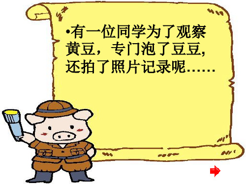四年级上册语文园地二作文(完美版)