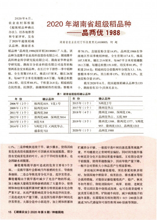 2020年湖南省超级稻品种——晶两优1988