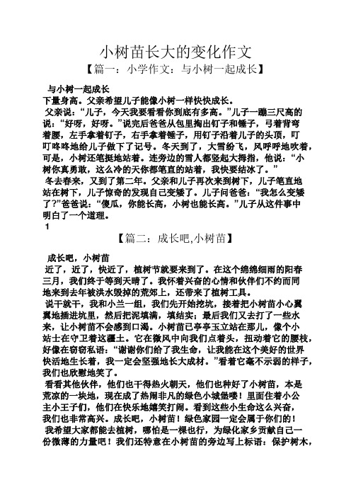 树作文之小树苗长大的变化作文
