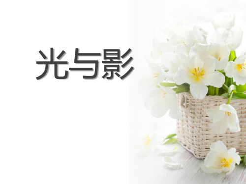《光与影》多彩的光PPT课件2