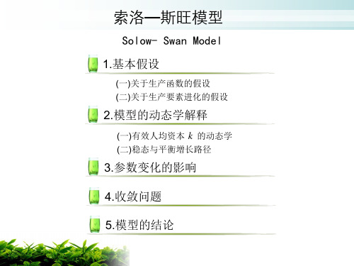 索洛 斯旺增长模型