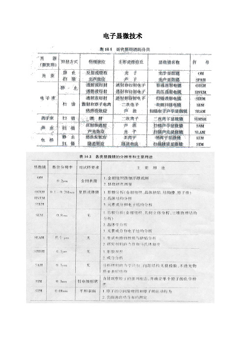电子透射显微镜
