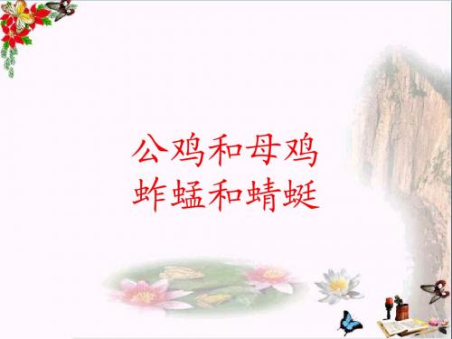 三年级音乐上册第9课公鸡和母鸡PPT课件1花城版