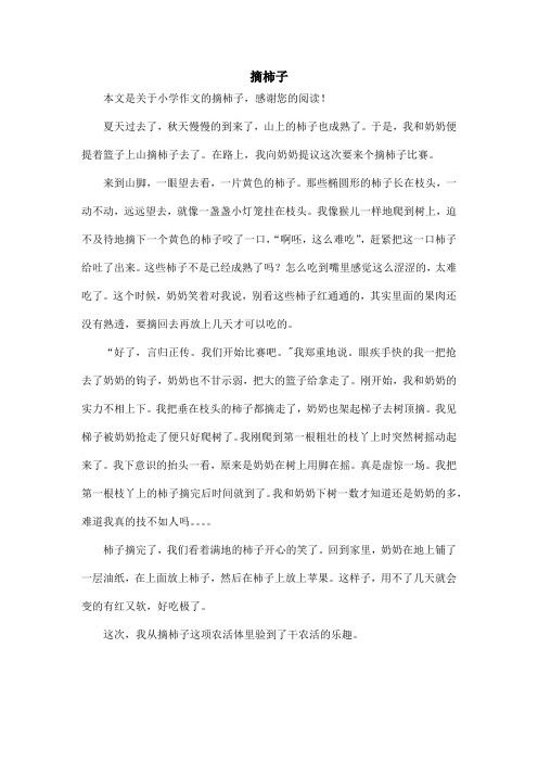 摘柿子_小学作文_7