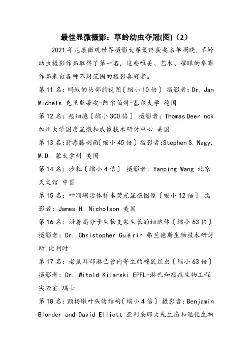 最佳显微摄影：草蛉幼虫夺冠(图)(2)