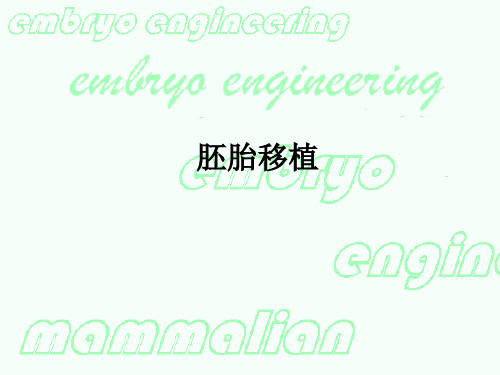 胚胎移植PPT课件