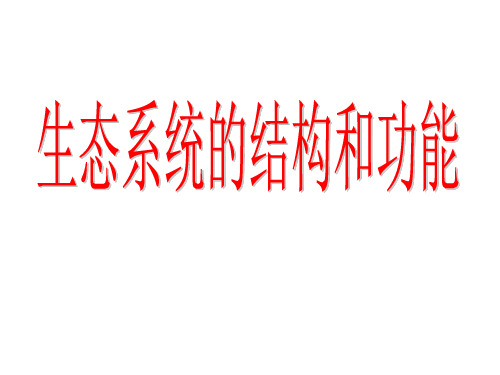 5.1 生态系统的结构和功能1