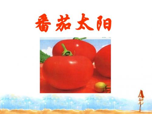 番茄太阳-优秀PPT课件2
