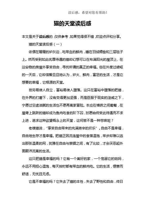 猫的天堂读后感