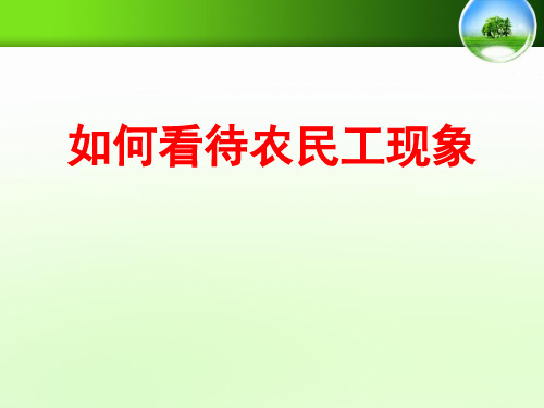高中地理人教版必修二课件PPT 问题研究 如何看待农民工现象(共29张PPT)