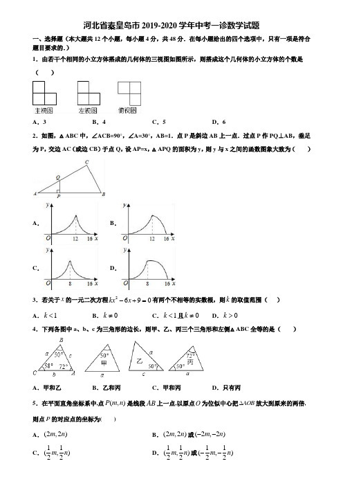 河北省秦皇岛市2019-2020学年中考一诊数学试题含解析