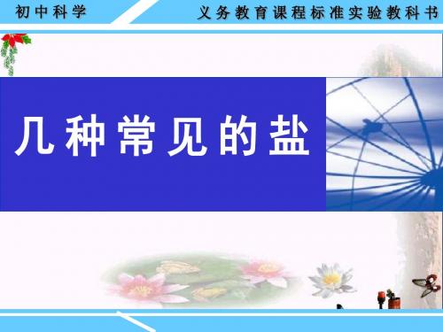 《几种常见的盐》盐 精品PPT课件2(共15张)