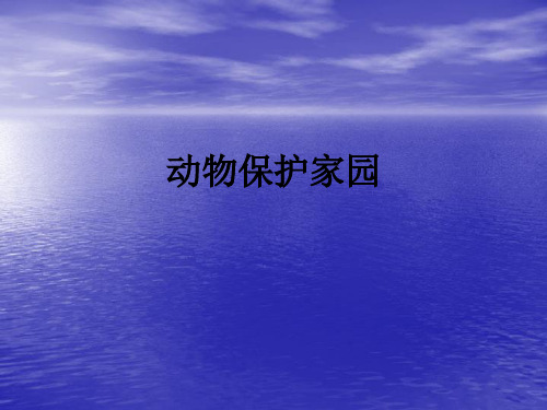动物保护家园ppt课件