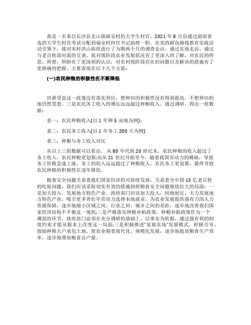 大学生村官农村调查报告