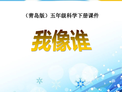 《我像谁》PPT【优秀课件】