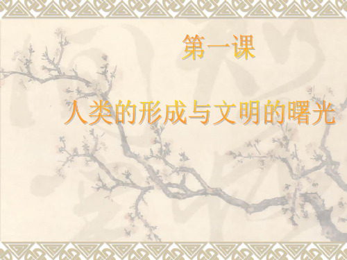 【历史课件】九年级历史人类的形成与文明的曙光