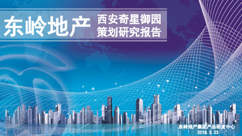 奇星御园方案研究工作汇报烂尾修正