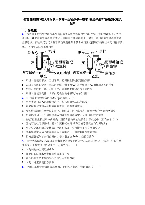 云南省云南师范大学附属中学高一生物必修一期末 非选择题专项模拟试题及答案