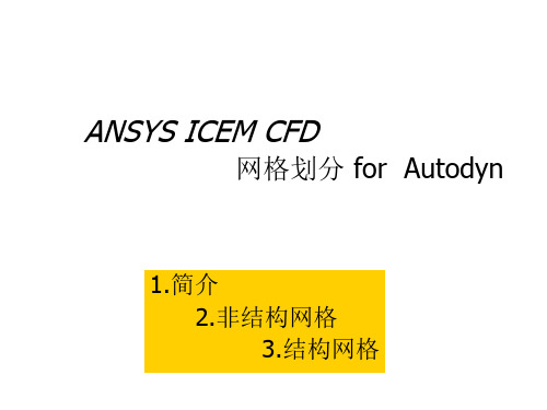 ICEM网格拓扑划分
