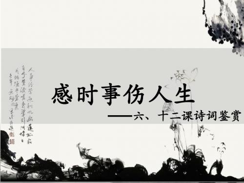 语文诗词选修课件 第六课社会 第十二课感时伤事