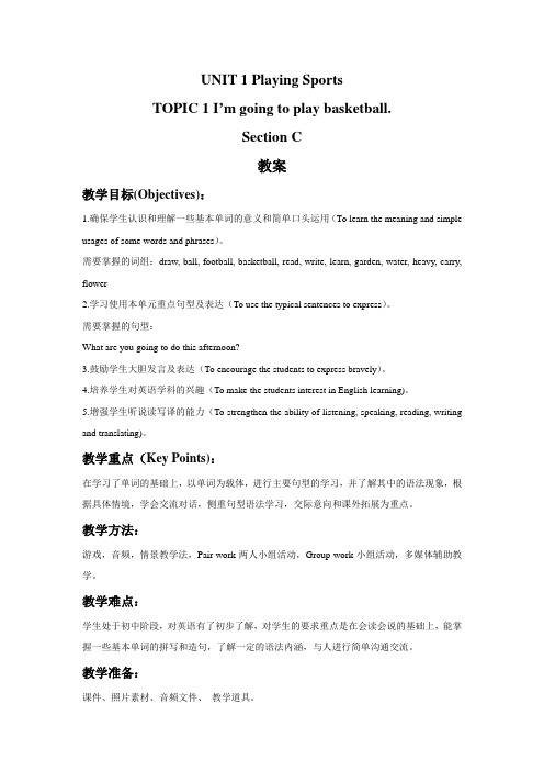 UNIT 1 TOPIC 1 Section C 教案-公开课-优质课(科普社版八上精品)