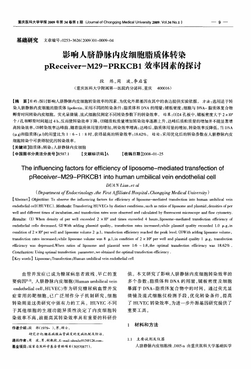 影响人脐静脉内皮细胞脂质体转染pReceiver-M29-PRKCB1效率因素的探讨