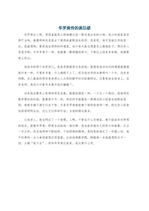 华罗庚传的读后感
