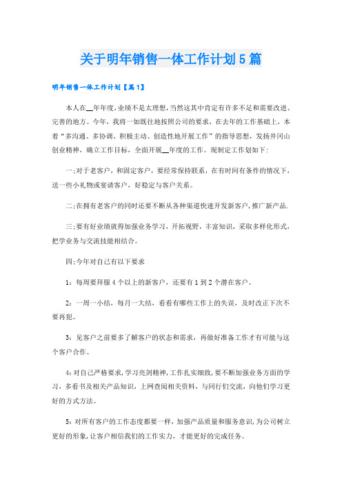 关于明年销售一体工作计划5篇