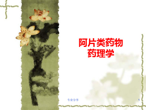 阿片类药物药理学(行业精制)