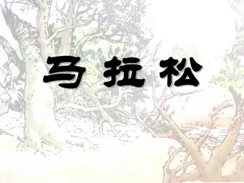 《马拉松》PPT课件3 (共17张PPT)