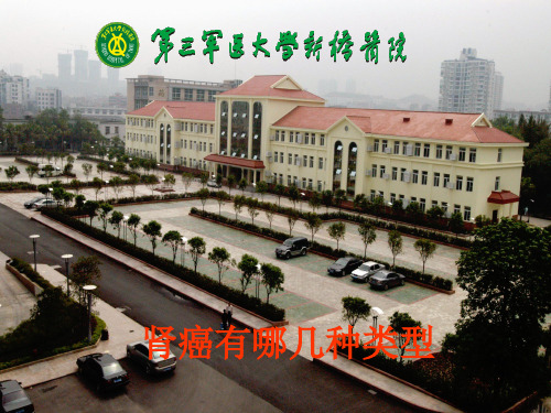 肾癌有哪几种类型