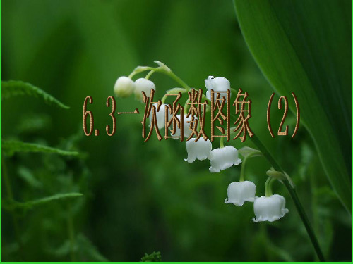 苏科版数学八年级上册一次函数的图像PPT精品课件1