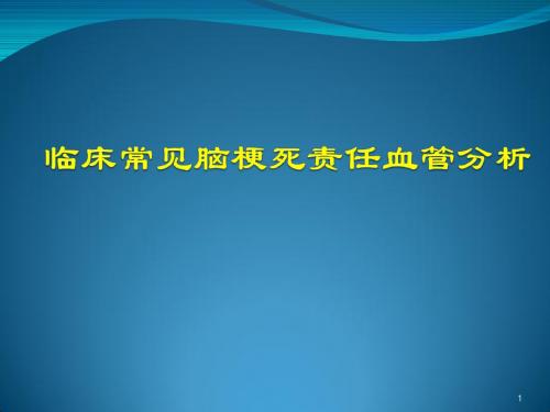 脑梗死责任血管分析ppt课件