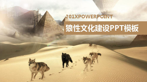 狼性企业文化建设PPT模板2