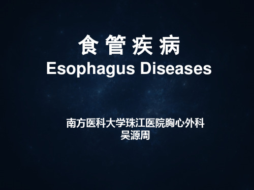 《食管疾病》ppt课件