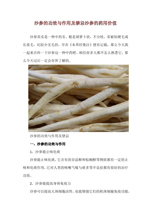 沙参的功效与作用及禁忌 沙参的药用价值