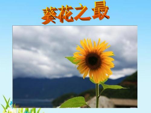 2018-2019学年冀教版语文六年级下册《葵花之最》优秀课课件