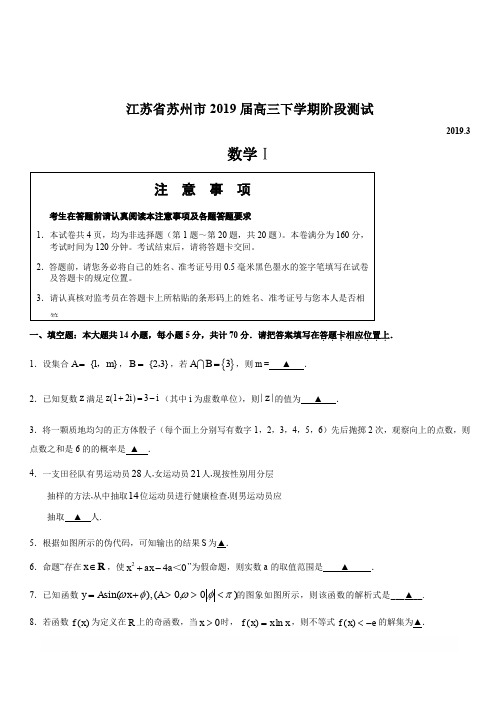 江苏省苏州市2019届高三下学期阶段测试数学试题(含答案)