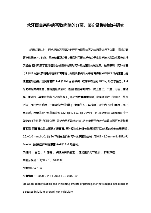 龙牙百合两种病害致病菌的分离、鉴定及抑制效应研究