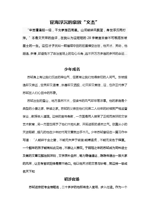 苏轼传记