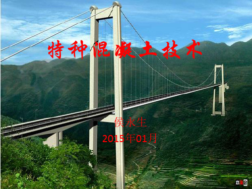 特种混凝土技术