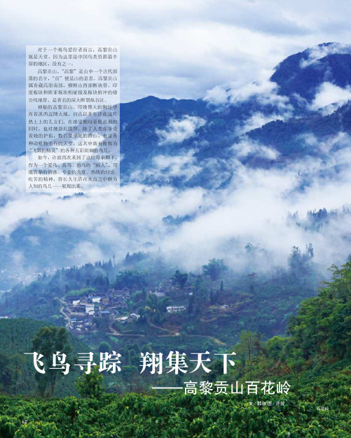 飞鸟寻踪 翔集天下——高黎贡山百花岭
