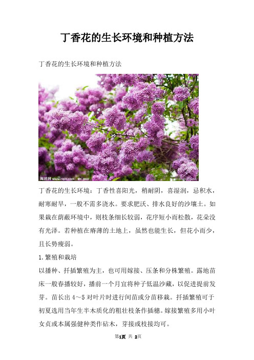 丁香花的生长环境和种植方法