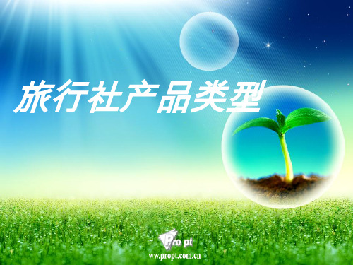 旅行社产品类型概述